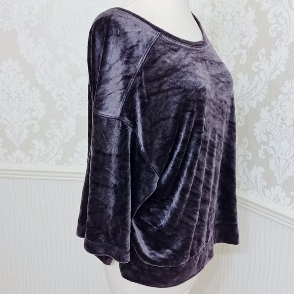 We The Free Purple Velvet Crop Sweatshirt Short Sleeve Top Scoop Back Size Small - Picture 2 of 5